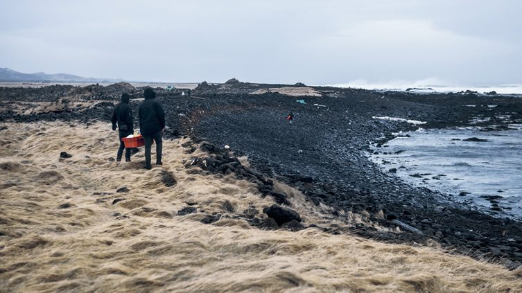 The Iceland Whale Bone Project