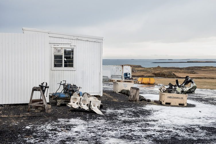 The Iceland Whale Bone Project