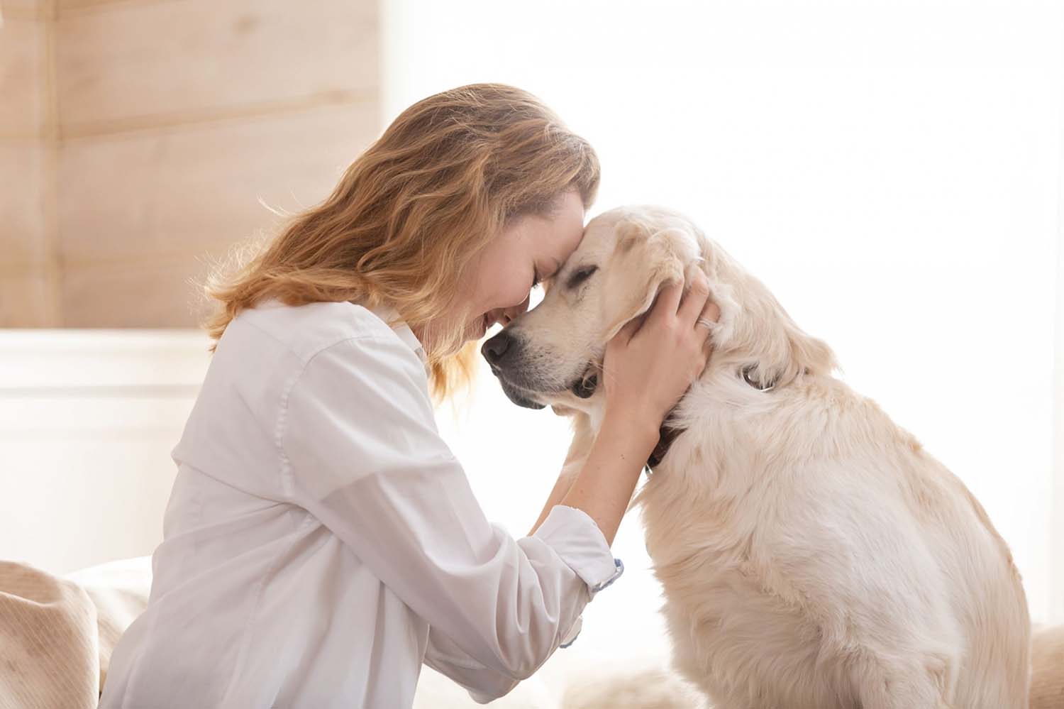 What is a Therapy Dog? All You Need to Know About Owning a Therapeutic Dog