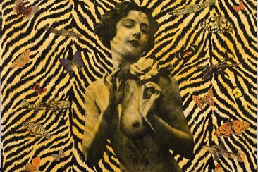 Wildcat Will at Beautiful Crime Gallery