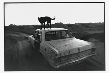 Wim Wenders, Time Capsules. By the side of the road