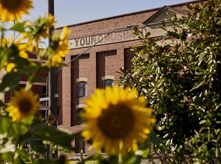 Younghusband Woolstore Melbourne